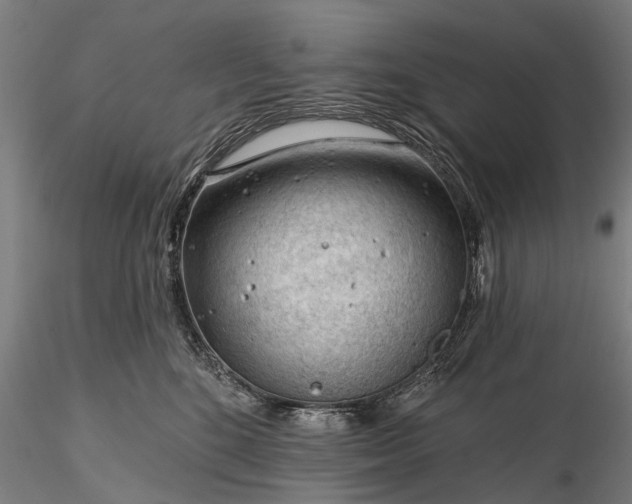 X0000116340520200912151331