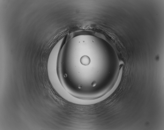 X0000116340521200912151331