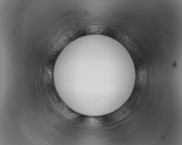 X0000116340522200912151331