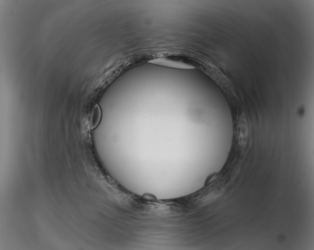 X0000116340523200912151331