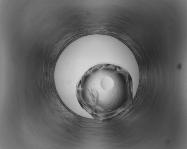 X0000116340525200912151331