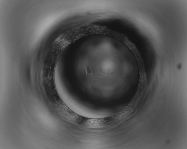 X0000116340526200912151331