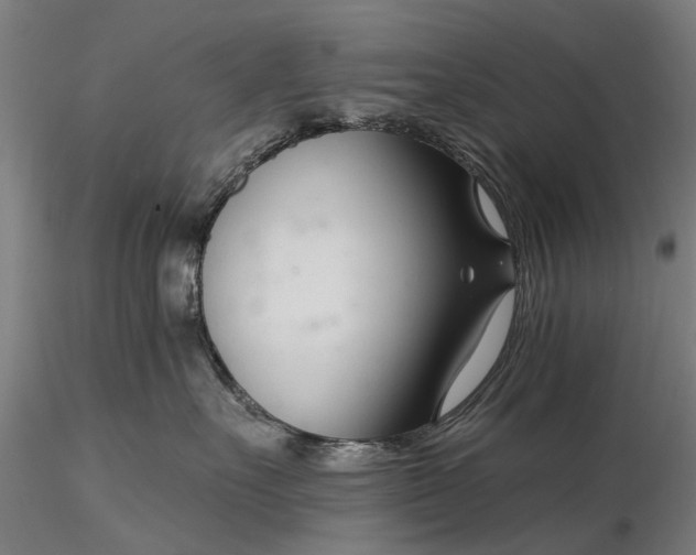 X0000116340527200912151331