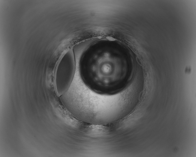 X0000116340528200912151331