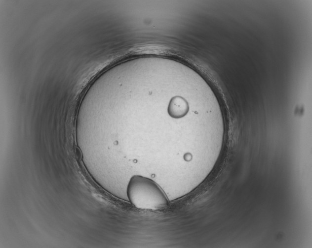 X0000116340529200912151330