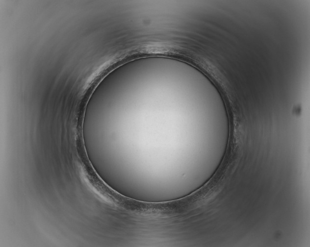 X0000116340530200912151330