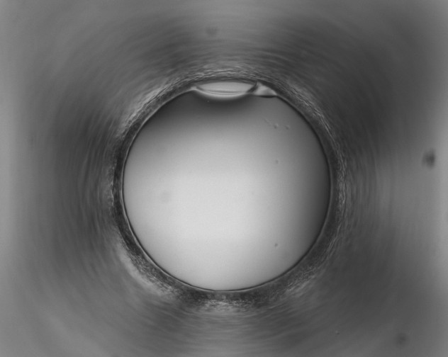 X0000116340538200912151330