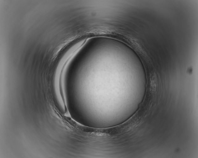 X0000116340539200912151330