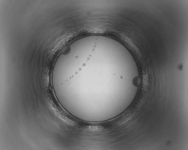 X0000116340541200912151330