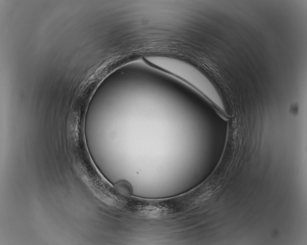 X0000116340542200912151330