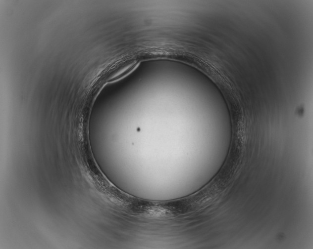 X0000116340547200912151330