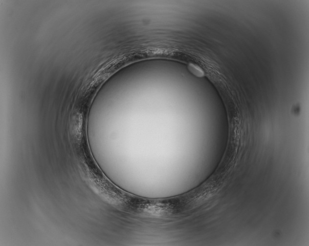 X0000116340550200912151330