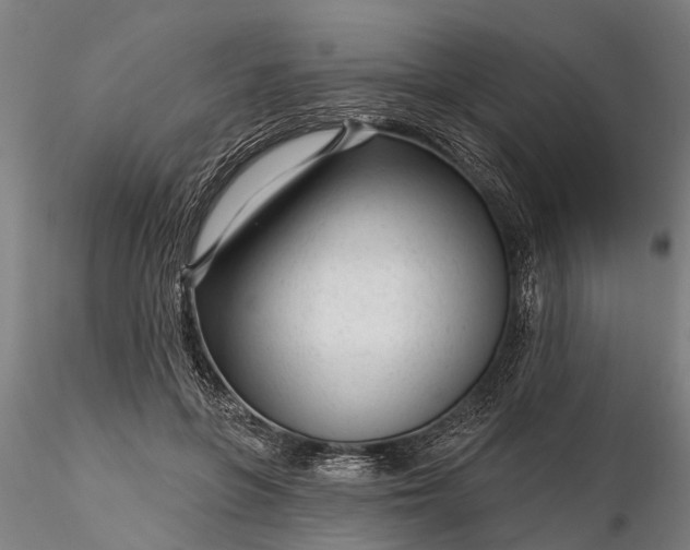 X0000116340551200912151330