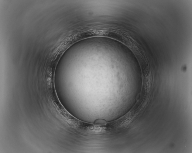 X0000116340553200912151330