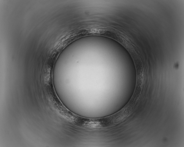 X0000116340554200912151330