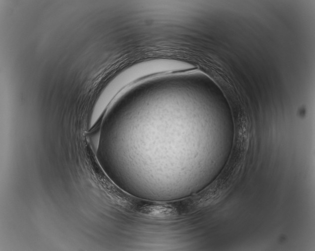 X0000116340555200912151330