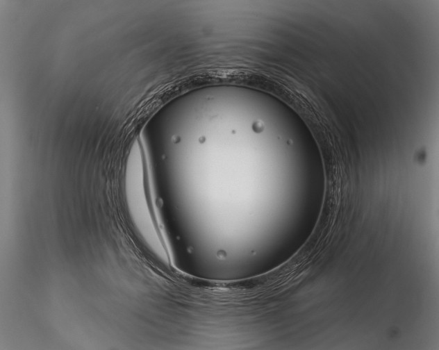 X0000116340558200912151330