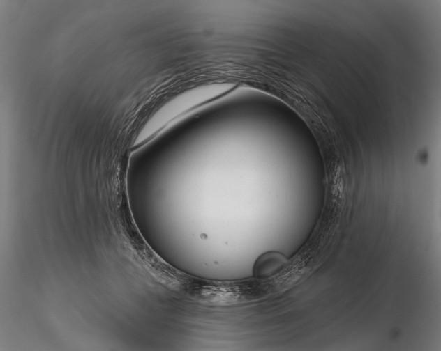 X0000116340559200912151330