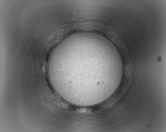 X0000116340561200912151331