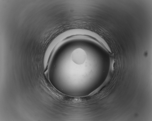 X0000116340562200912151331