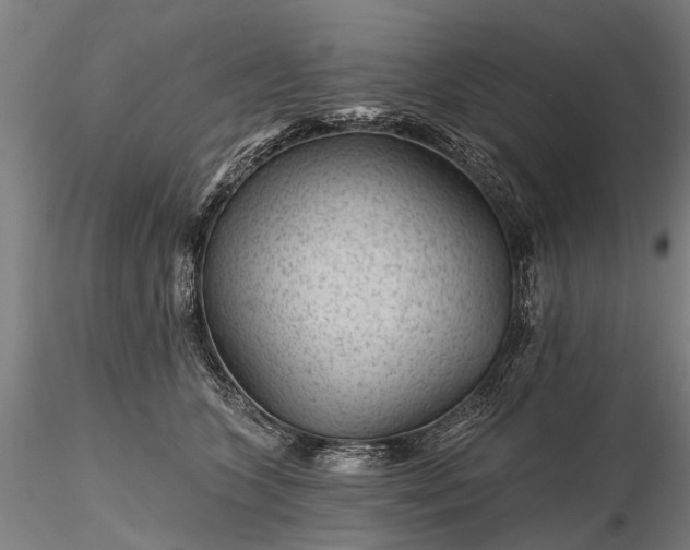 X0000116340563200912151331