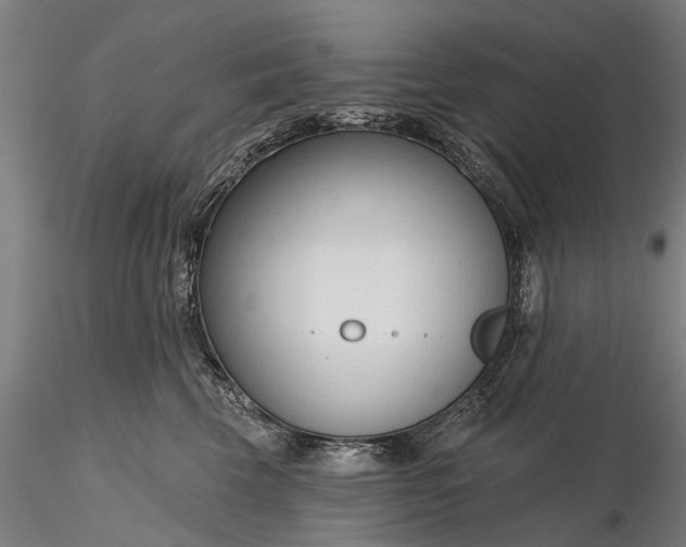 X0000116340569200912151331