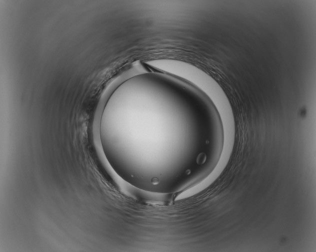 X0000116340570200912151331