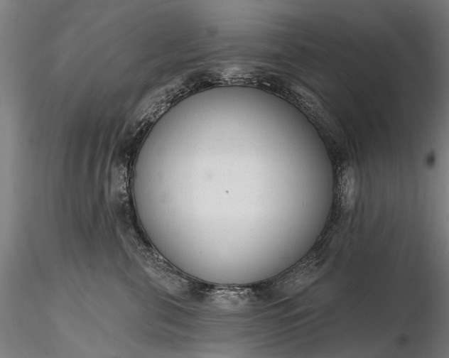 X0000116340571200912151331