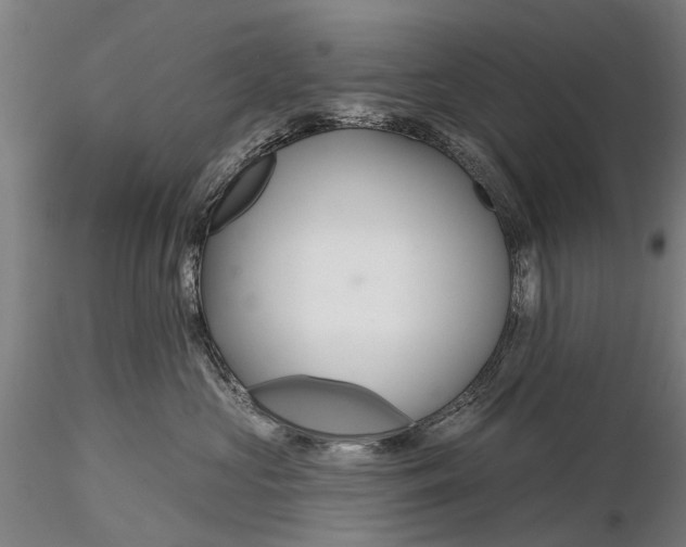 X0000116340573200912151331