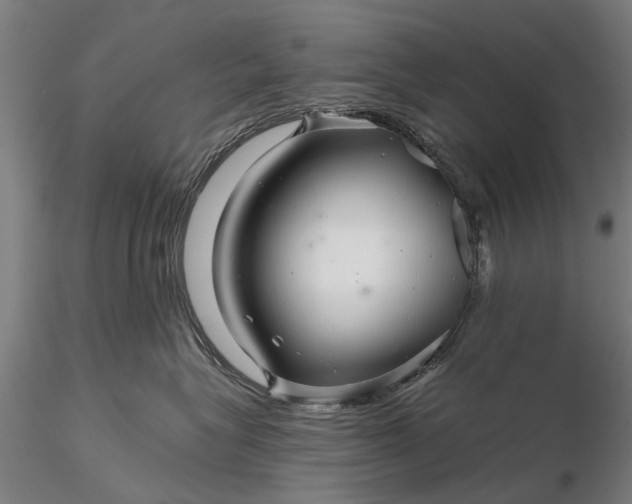 X0000116340575200912151331