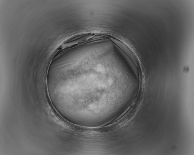 X0000116340577200912151330