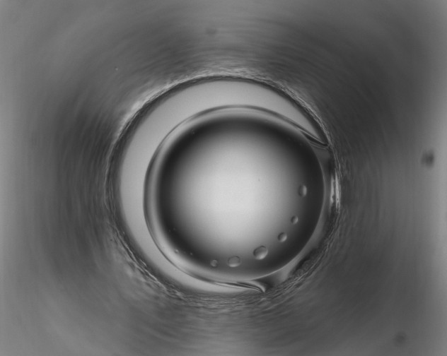 X0000116340579200912151330