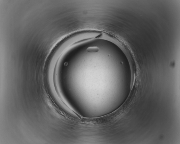 X0000116340580200912151330