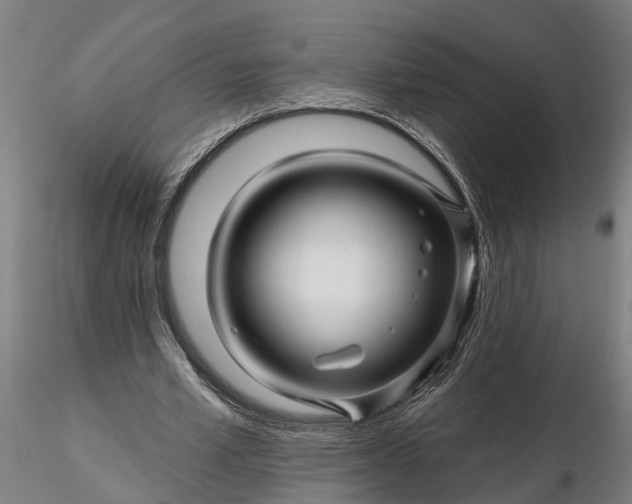 X0000116340581200912151330