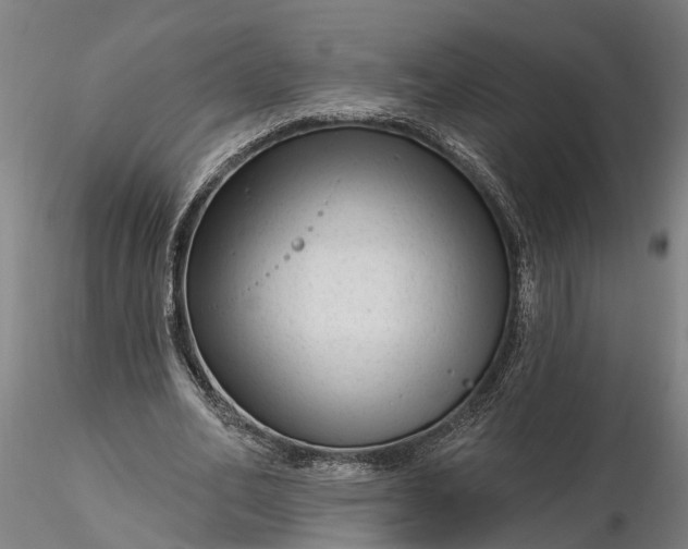 X0000116340582200912151330