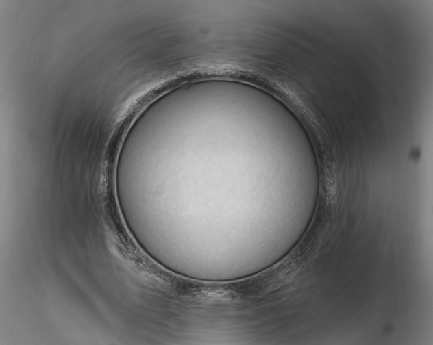 X0000116340583200912151330