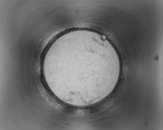 X0000116340584200912151330