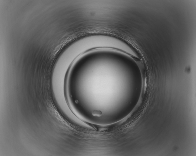 X0000116340585200912151330