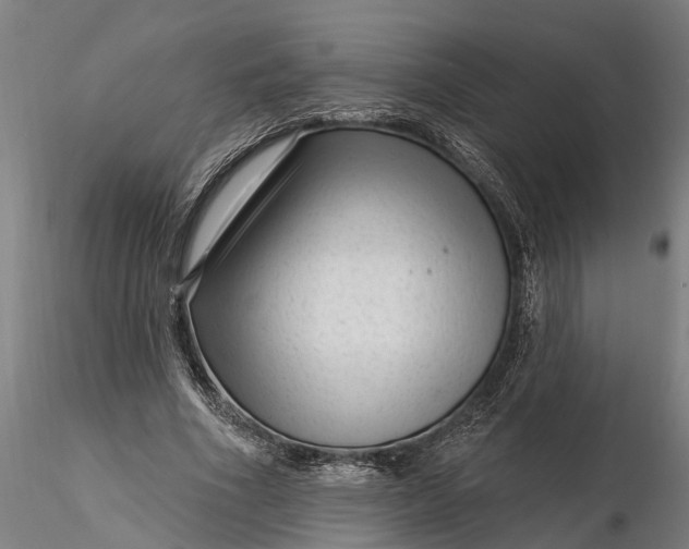 X0000116340586200912151330