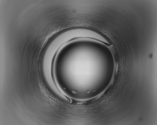 X0000116340587200912151330