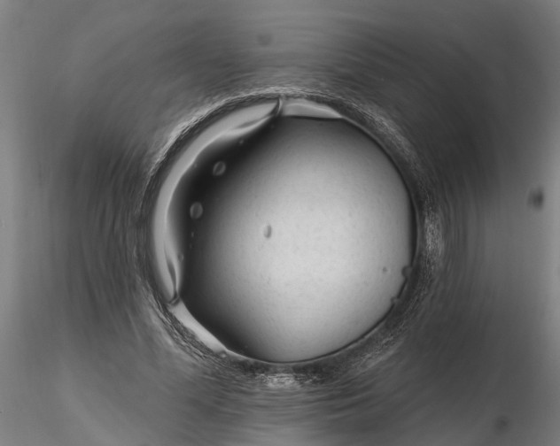 X0000116340588200912151330