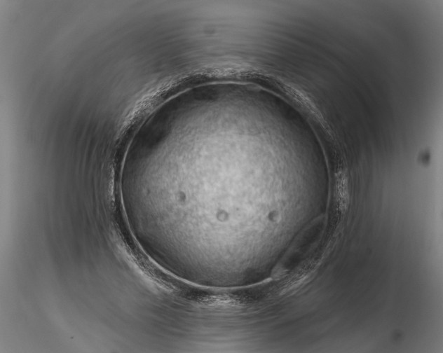 X0000116340589200912151330