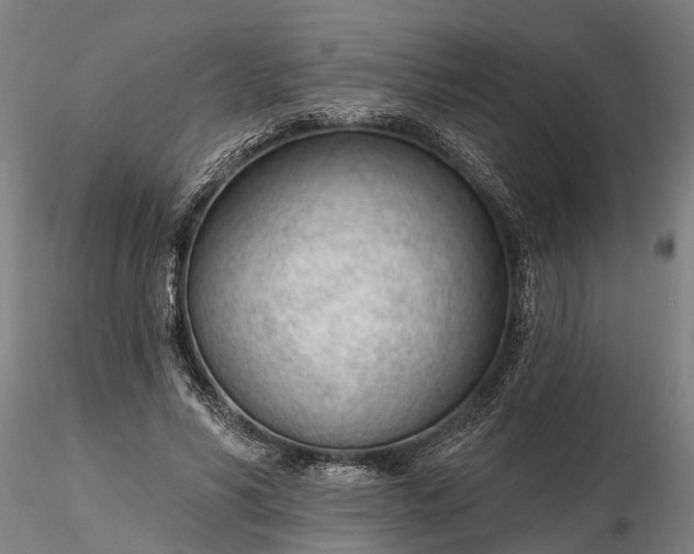 X0000116340590200912151330