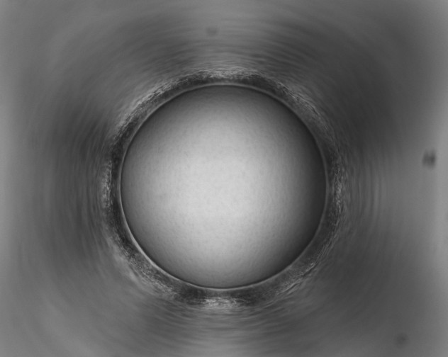 X0000116340591200912151330