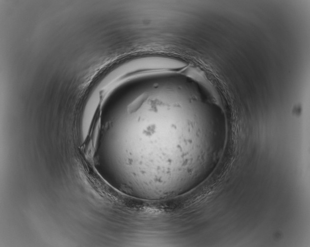 X0000116340592200912151330