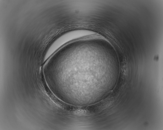 X0000116340593200912151330