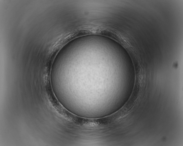 X0000116340594200912151330