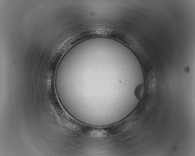 X0000116340595200912151330