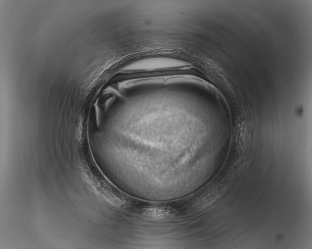 X0000116340596200912151330