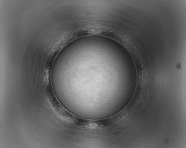 X0000116340598200912151330